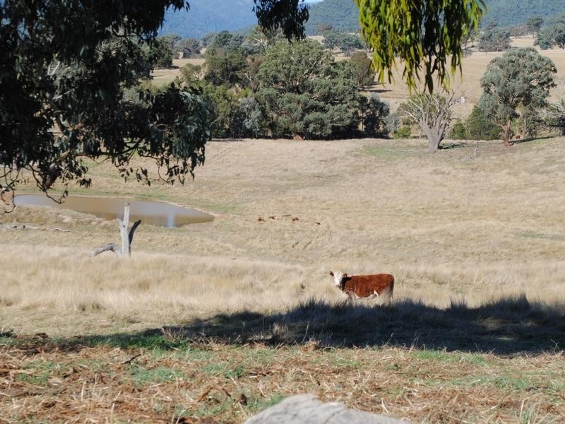 Lot 4 – Howqua Track, Merrijig VIC 3723