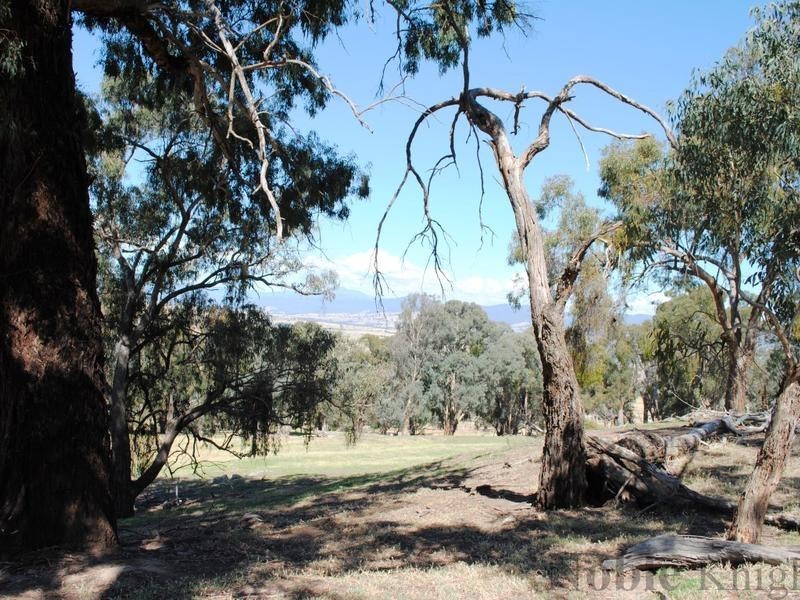 Lot 7 Drakes Hill Road, Mansfield VIC 3722