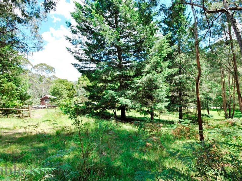 2920 Mt Buller Road, Sawmill Settlement VIC 3723