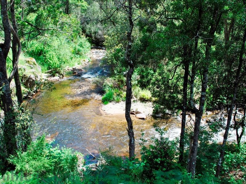 2920 Mt Buller Road, Sawmill Settlement VIC 3723