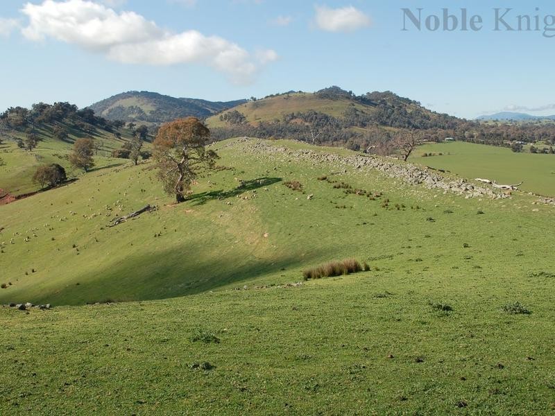 145 Stoneleigh Road, Mansfield VIC 3722