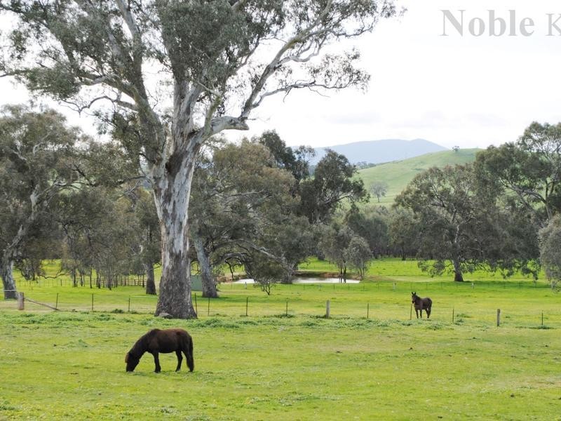 400 Howes Creek Road, Mansfield VIC 3722