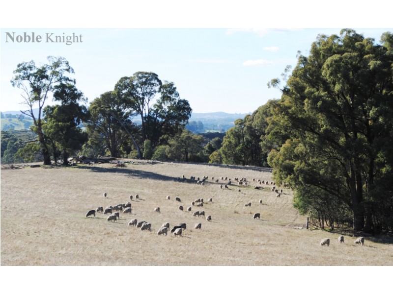 75 Jukes Road, Strathbogie VIC 3666