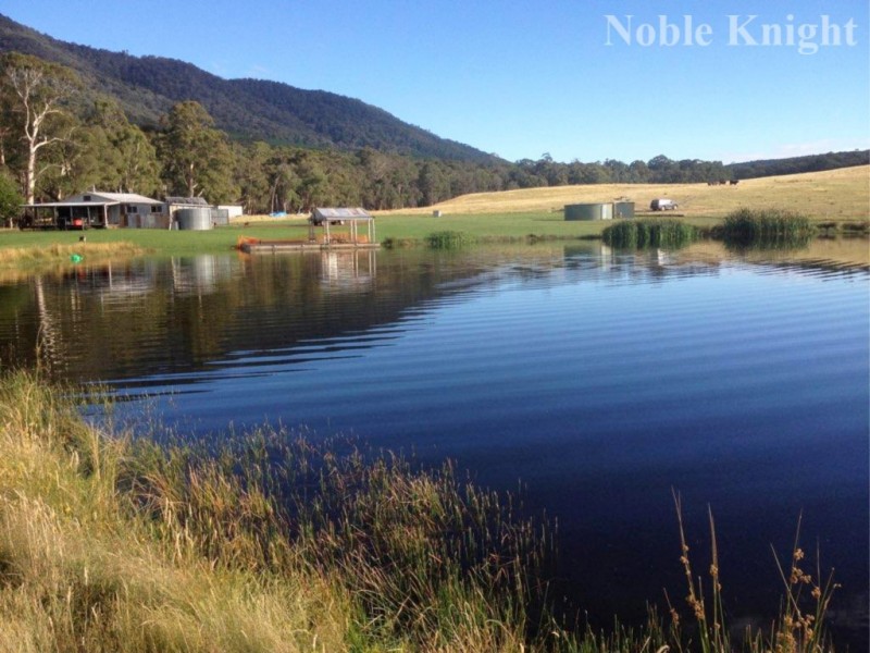 654 Blue Range Road, Mansfield VIC 3722