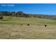 654 Blue Range Road, Mansfield VIC 3722