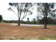Mansfield VIC 3722