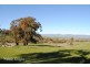 Lot 10 56 Drakes Hill Road, Mansfield VIC 3722