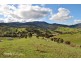 Lot 4 Cliff Road, Bonnie Doon VIC 3720