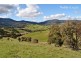 Lot 4 Cliff Road, Bonnie Doon VIC 3720