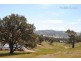 94 O’Hanlon Road, Mansfield VIC 3722