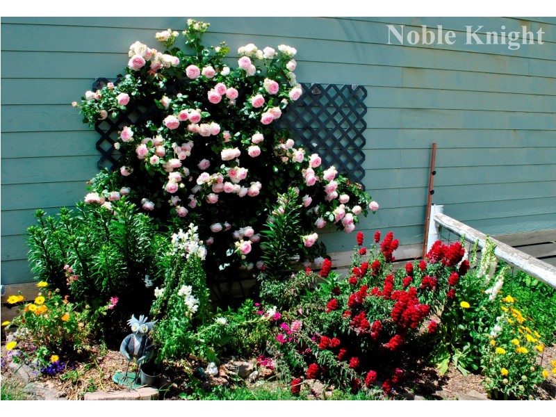 810 Old Tolmie Road, Barwite VIC 3722