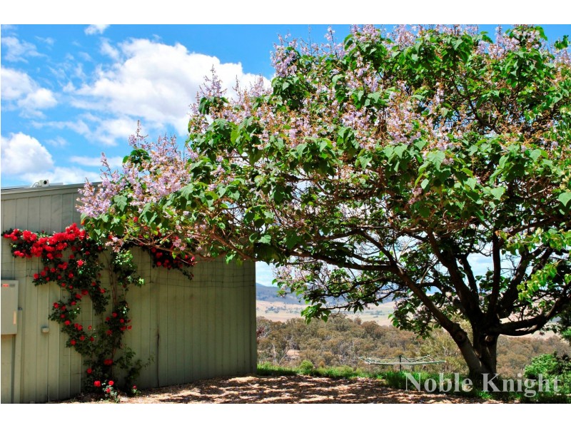 810 Old Tolmie Road, Barwite VIC 3722