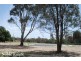 1 – 11 Carob Court, Mansfield VIC 3722