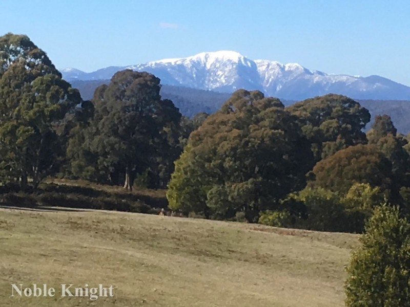 104 Bunstons Road, Tolmie VIC 3723