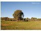 1/90 Lockharts Road, Bonnie Doon VIC 3720