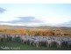 630 Old Tolmie Road, Barwite VIC 3722