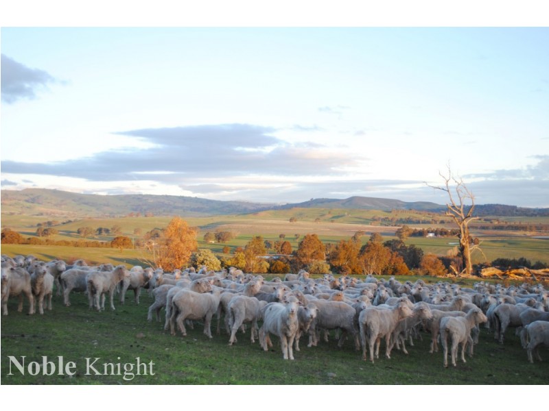 630 Old Tolmie Road, Barwite VIC 3722