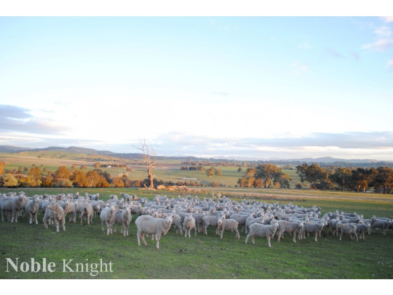 630 Old Tolmie Road, Barwite VIC 3722