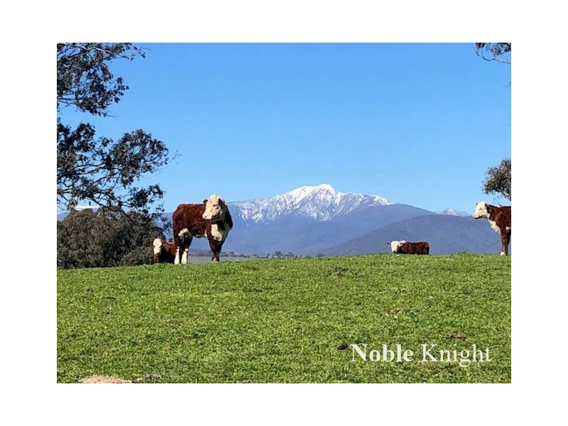 155 Coombs Lane, Merrijig VIC 3723