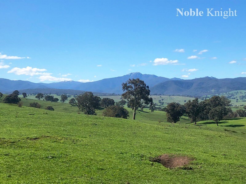 155 Coombs Lane, Merrijig VIC 3723