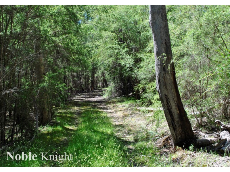 553 Howqua River Road, Howqua VIC 3723