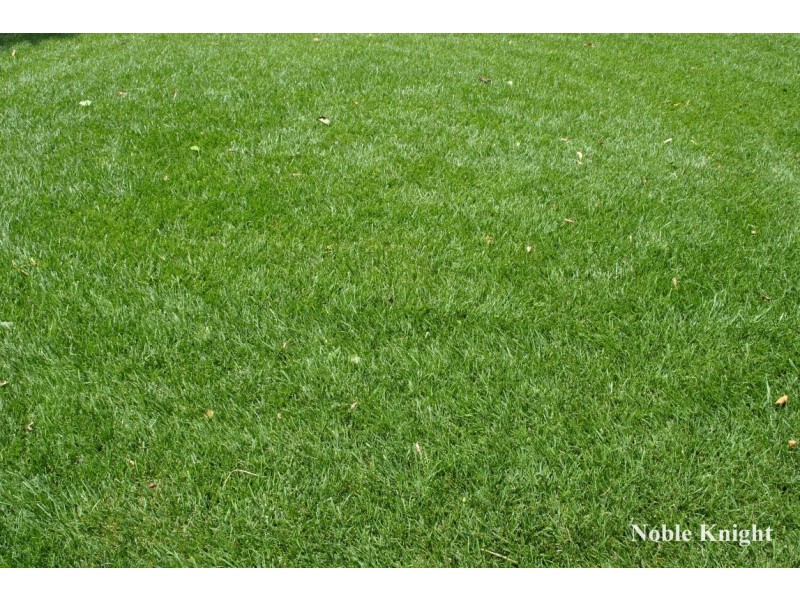 6/42 Rowe Street, Mansfield VIC 3722