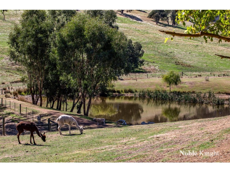 685 Monkey Gully Road, Mansfield VIC 3722