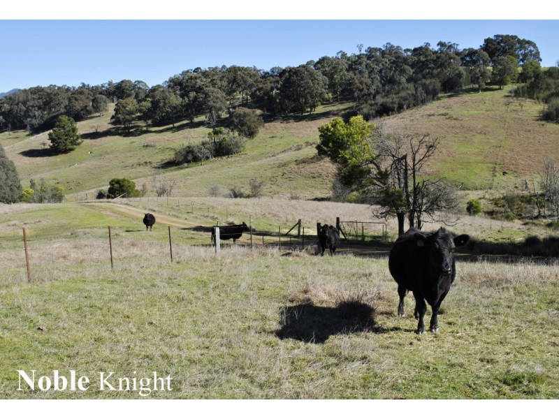 C/A 35/230 The Sideling, Jamieson VIC 3723