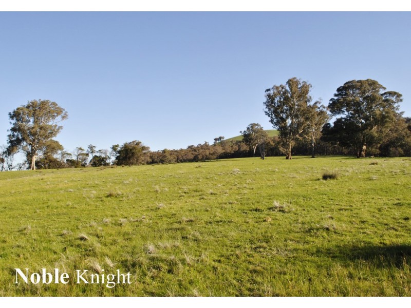 Mansfield VIC 3722