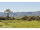 Mansfield VIC 3722