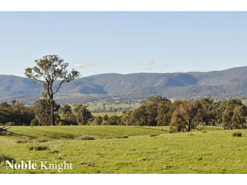Mansfield VIC 3722