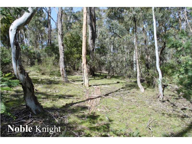 205 Tolmie – Mahaikah Road, Tolmie VIC 3723