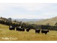 170 Pollock Avenue, Bonnie Doon VIC 3720