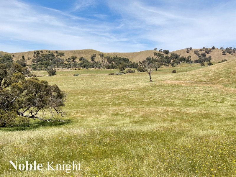 170 Pollock Avenue, Bonnie Doon VIC 3720