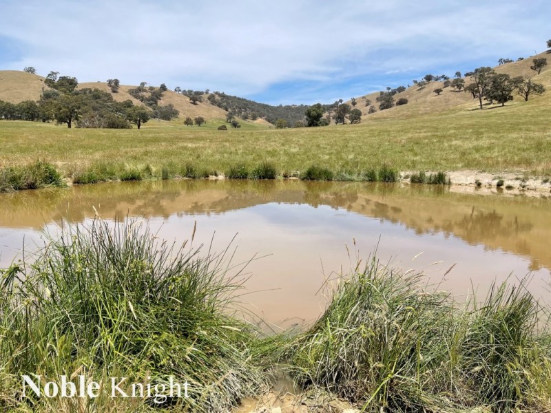 170 Pollock Avenue, Bonnie Doon VIC 3720