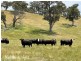 170 Pollock Avenue, Bonnie Doon VIC 3720