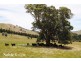 170 Pollock Avenue, Bonnie Doon VIC 3720