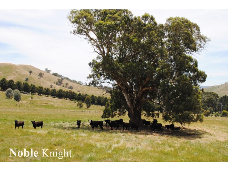 170 Pollock Avenue, Bonnie Doon VIC 3720