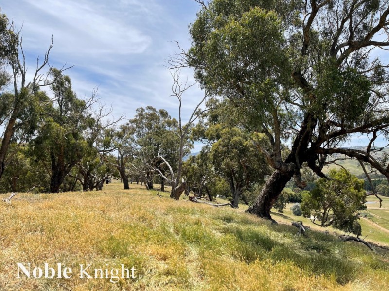 170 Pollock Avenue, Bonnie Doon VIC 3720