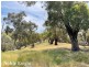 170 Pollock Avenue, Bonnie Doon VIC 3720