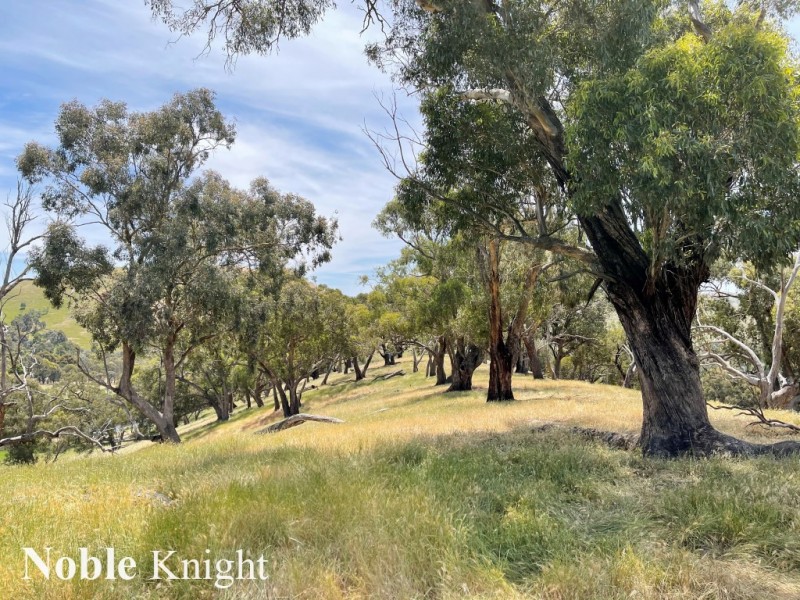 170 Pollock Avenue, Bonnie Doon VIC 3720