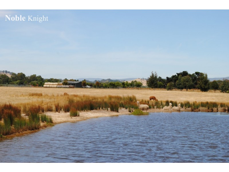 106 Yarck Road, Yarck VIC 3719