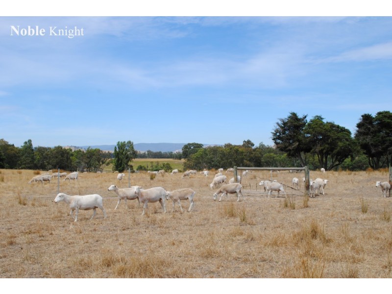 106 Yarck Road, Yarck VIC 3719