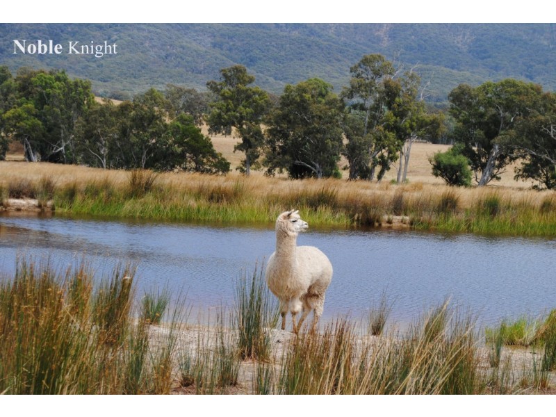 106 Yarck Road, Yarck VIC 3719