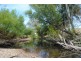106 Yarck Road, Yarck VIC 3719