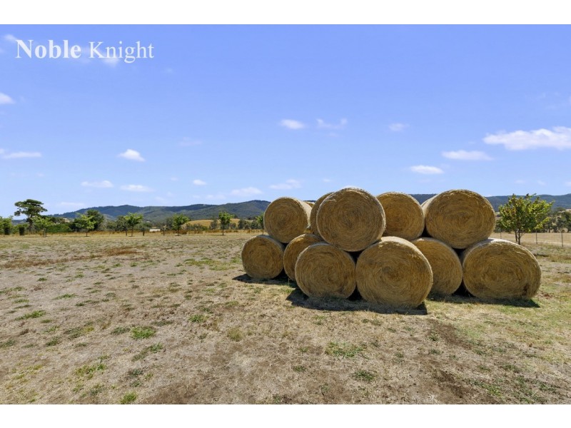 106 Yarck Road, Yarck VIC 3719