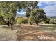 19 Star of the Glen Road, Bonnie Doon VIC 3720