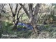 19 Star of the Glen Road, Bonnie Doon VIC 3720