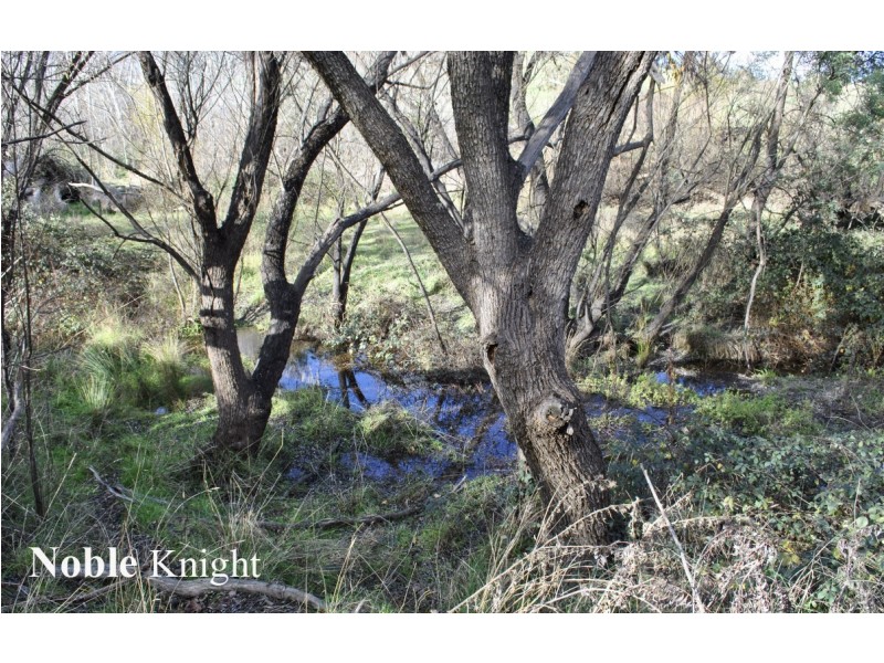 19 Star of the Glen Road, Bonnie Doon VIC 3720