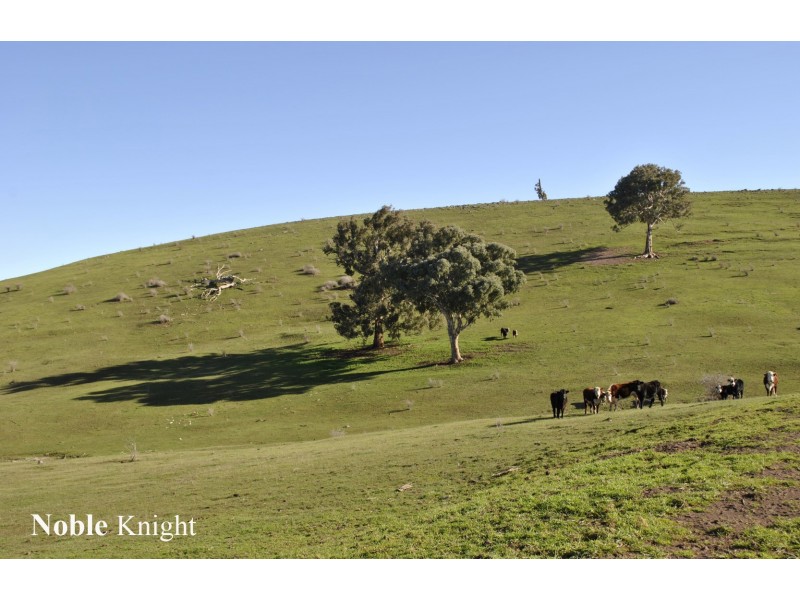 155 Coombs Lane, Merrijig VIC 3723